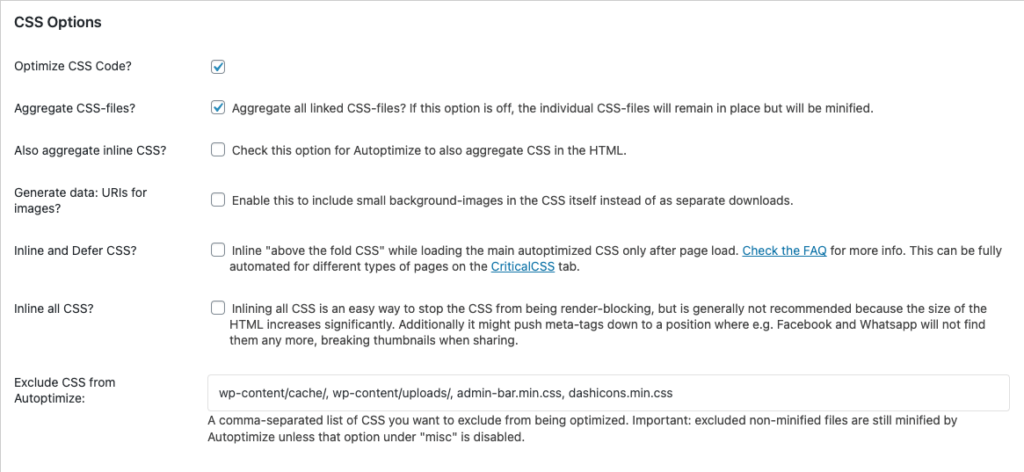 CSS option section